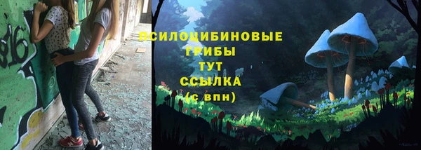 эйфоретик Алексин